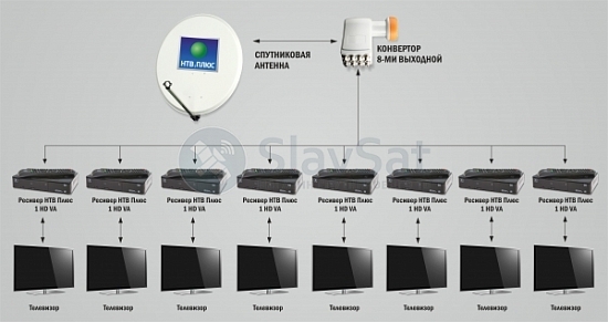 НТВ-ПЛЮС на 8 телевизоров