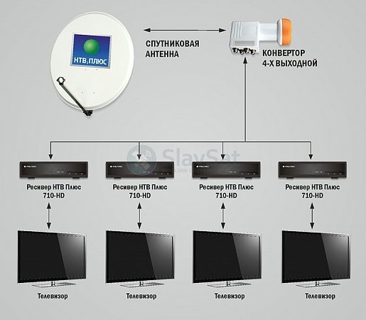 НТВ-ПЛЮС на 4 телевизора