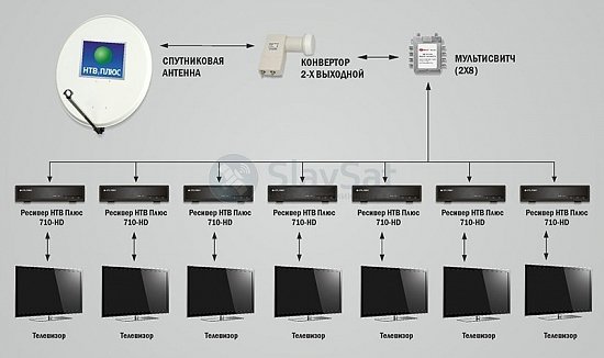 НТВ-ПЛЮС на 7 телевизоров