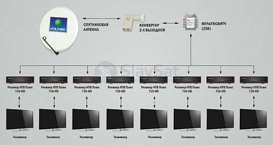 НТВ-ПЛЮС на 8 телевизоров